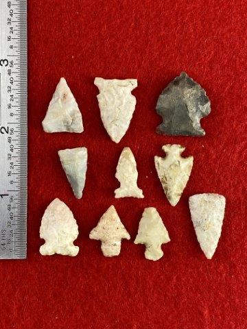 10 Bird Points    Indian Artifact Arrowhead (1 of 1)