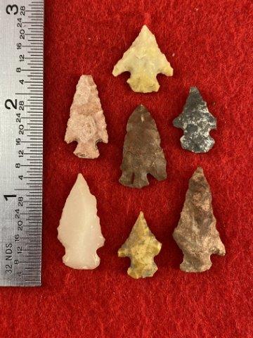 7 Arkansas Bird Points    Indian Artifact Arrowhead (1 of 1)