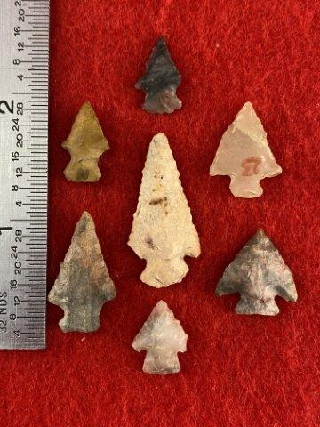 7 Arkansas Bird Points    Indian Artifact Arrowhead (1 of 1)