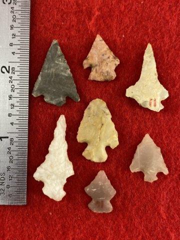7 Arkansas Bird Points    Indian Artifact Arrowhead (1 of 1)