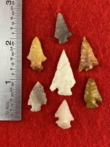 7 Arkansas Bird Points    Indian Artifact Arrowhead (1 of 1)