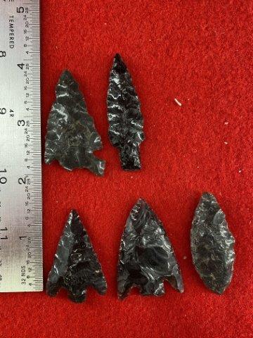5 Arrow Points     Indian Artifact Arrowhead (1 of 1)