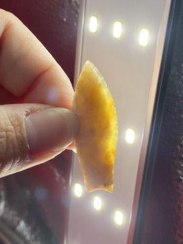Paleo Point     Indian Artifact Arrowhead (1 of 4)