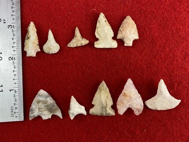 10 Very Nice Arrow Points     Indian Artifact Arrowhead (1 of 1)