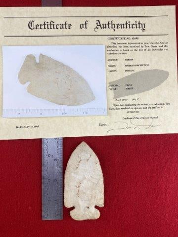 Thebes   with COA (1 of 5)