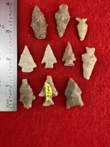 10 Very Nice Bird Points      Indian Artifact Arrowhead (1 of 1)