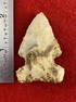 Very Nice Arrowhead from the James Evans Estate Collection