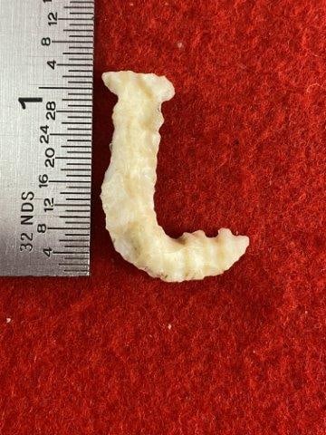 Stone Hook            Indian Artifact Arrowhead (1 of 3)