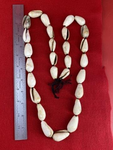 Shell Beads            Indian Artifact Arrowhead (1 of 1)