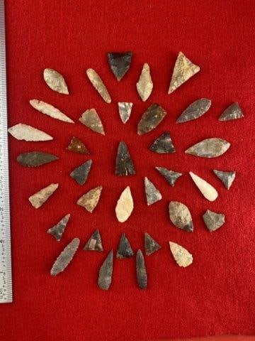 Group of Bird Points           Indian Artifact Arrowhead (1 of 1)