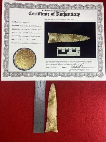 Plainview Dalton Paleo           with COA (1 of 5)
