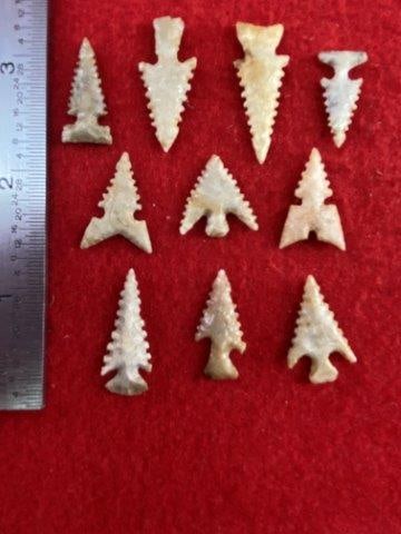 10 Very Nice Arrow Points           Indian Artifact Arrowhead (1 of 5)