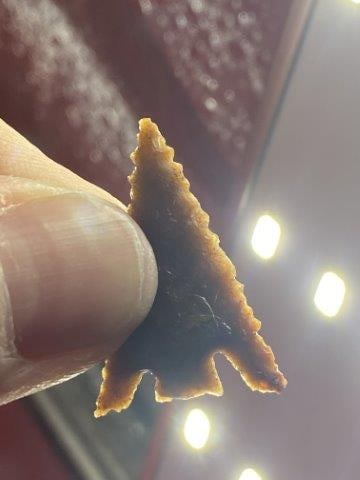 Gem Quality Arrow Points from Oregon Columbia River       Indian Artifact Arrowhead (1 of 4)