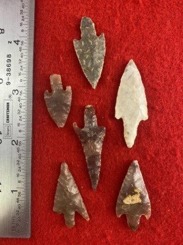 Group of Neolithics    Indian Artifact Arrowhead (1 of 1)