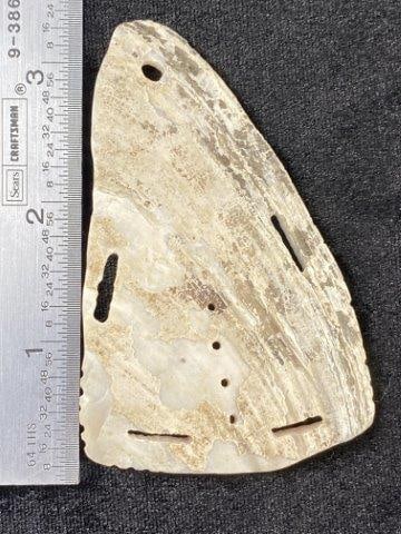 Shell Gorget (1 of 4)