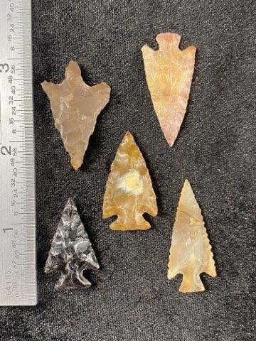 5 Beautiful Bird Points (1 of 1)