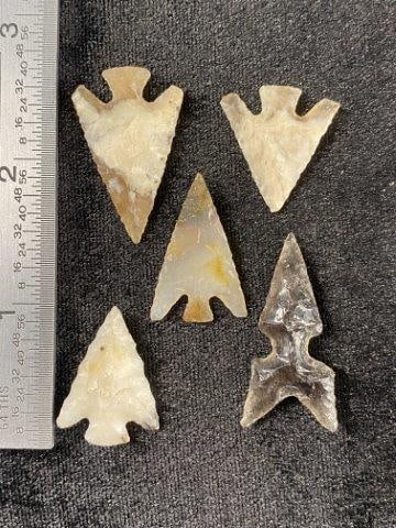 5 Beautiful Bird Points (1 of 1)