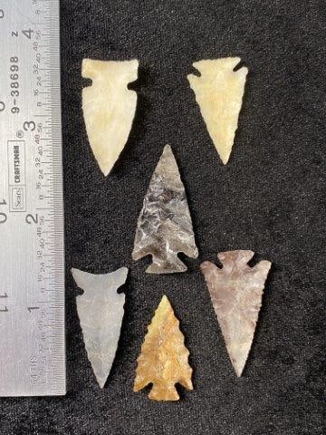 6 Beautiful Bird Points (1 of 1)