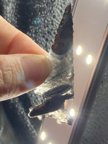 Obsidian Point      Indian Artifact Arrowhead (1 of 4)