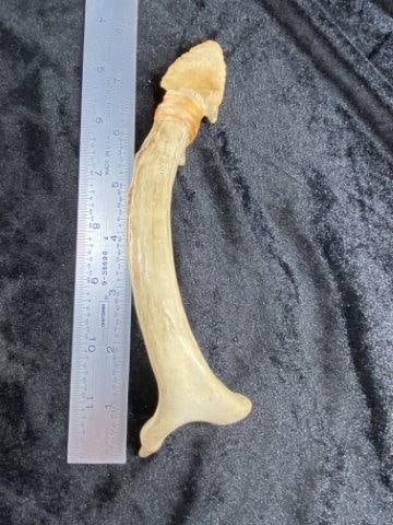 Hafted Blade      Indian Artifact Arrowhead (1 of 5)