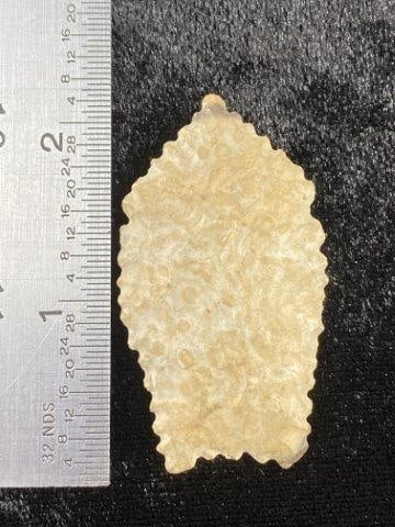 Clovis from New Mexico (1 of 3)