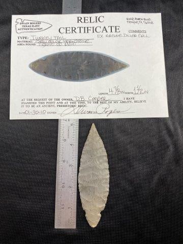 Turkey Tail    with COA (1 of 6)