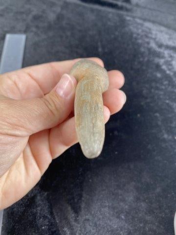 Pottery Ear Plug - 5