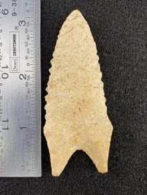 Dalton from the Ed. J. Bergman Collection