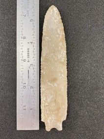 Buzzard Roost from the Ed. J. Bergman Collection