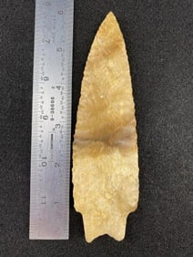 Buzzard Roost from the Ed. J. Bergman Collection