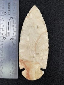 Dovetail from the Ed. J. Bergman Collection