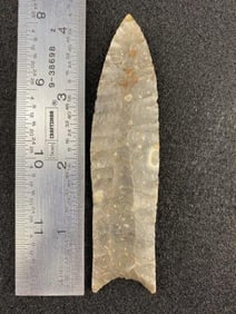 Clovis from the Ed. J. Bergman Collection