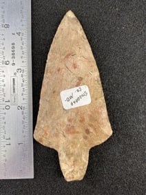 Adena from Stoddard County, Missouri from the Ed. J. Bergman Collection