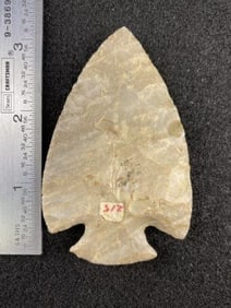 Snyders from Pike County, Illinois from the Ed. J. Bergman Collection