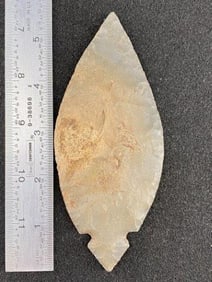 Turkeytail from the Ed. J. Bergman Collection