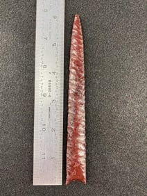 Eden from the Ed. J. Bergman Collection