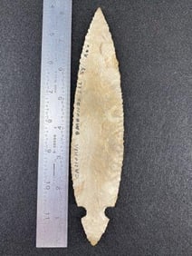 Turkeytail from Illinois from the Ed. J. Bergman Collection