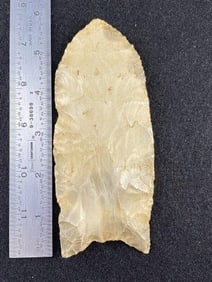 Large First Age Clovis