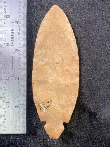 Turkeytail from White County, Indiana Ex Hoots Collection 1970's Arkansas (1 of 4)