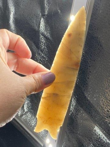 Novaculite Dalton 6 & 3/8" Arrowhead Indian Artifact (1 of 6)