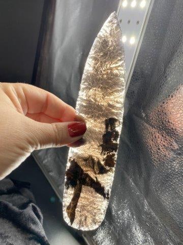 Large Obsidian Blade Northern California Collection Spear Point (1 of 4)