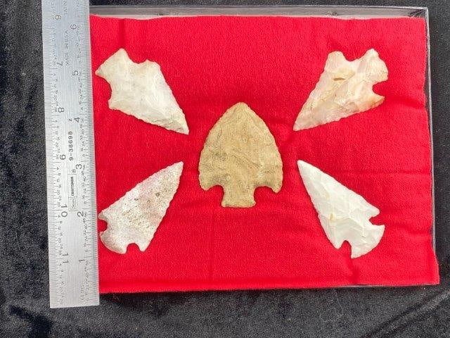 Frame of Arrowheads Riker Frame IS included Indian Artifact Arrowhead (1 of 4)