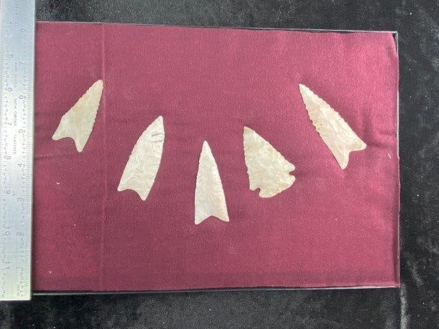 Frame of Extremely Nice Arrowheads Riker Frame IS included Indian Artifact Arrowhead (1 of 5)