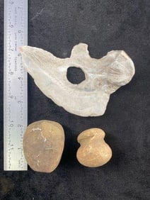 2 Waco Sinkers & Shell Pendant