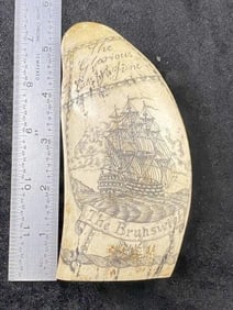 Scrimshaw