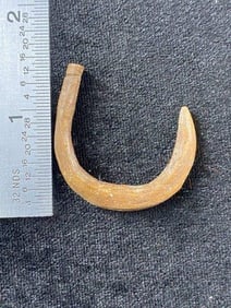 Bone Hook from Tennessee Indian Artifact Arrowhead