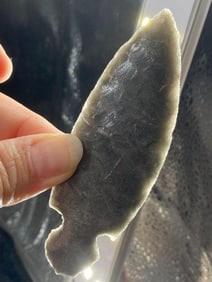 Turkeytail from Tennessee Indian Artifact Arrowhead