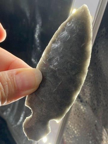 Turkeytail from Tennessee Indian Artifact Arrowhead (1 of 4)