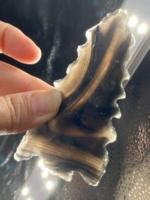 Obsidian Eccentric Point from Colorado Indian Artifact Arrowhead
