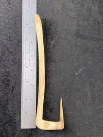 Large Bone Hook